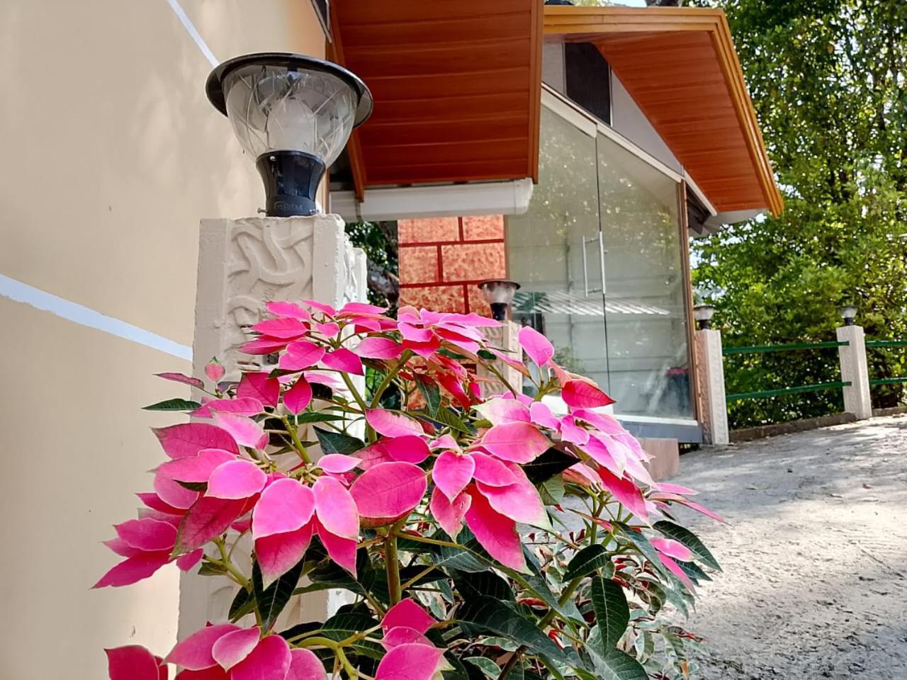 Cloudscape Homestay Pīrmed Extérieur photo